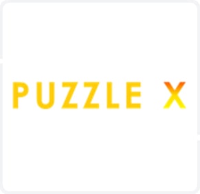 PUZZLE X 2022